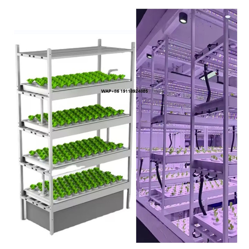 Hydroponic Farming Agriculture - Sistema di Coltivazione Verticale Idroponico a