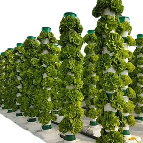 Hydroponic Farming Agriculture - Serre agricole sistema aeroponico agricolo verticale