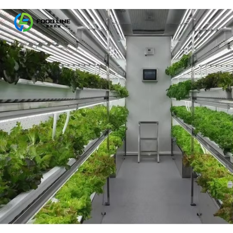 Hydroponic Farming Agriculture - Sistema Idroponico Verticale NFT Personalizzato per