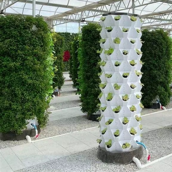 Hydroponic Farming Agriculture - Sistemi di Coltivazione Aeroponica Verticali per