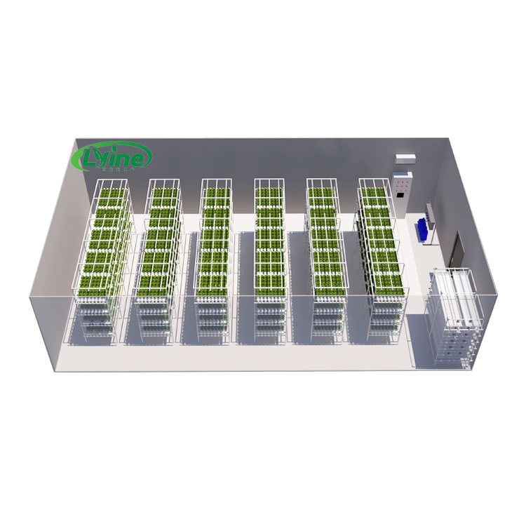 Hydroponic Farming Agriculture - Serre agricole Lettuce Nft Sistema di