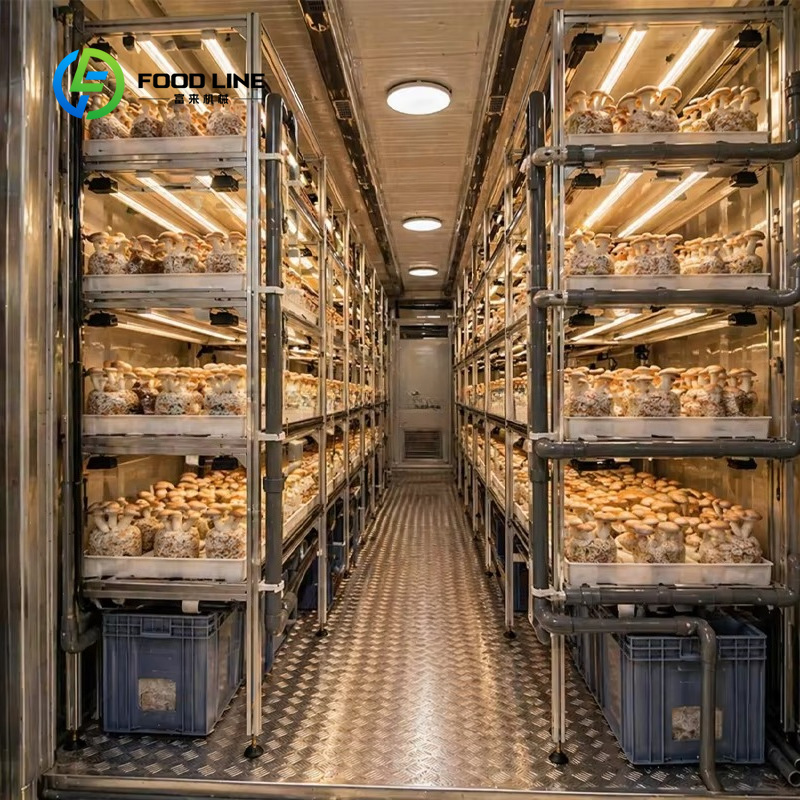 Fattoria Modulare in Container - Hydroponic Farming Agriculture recensione e prezzo