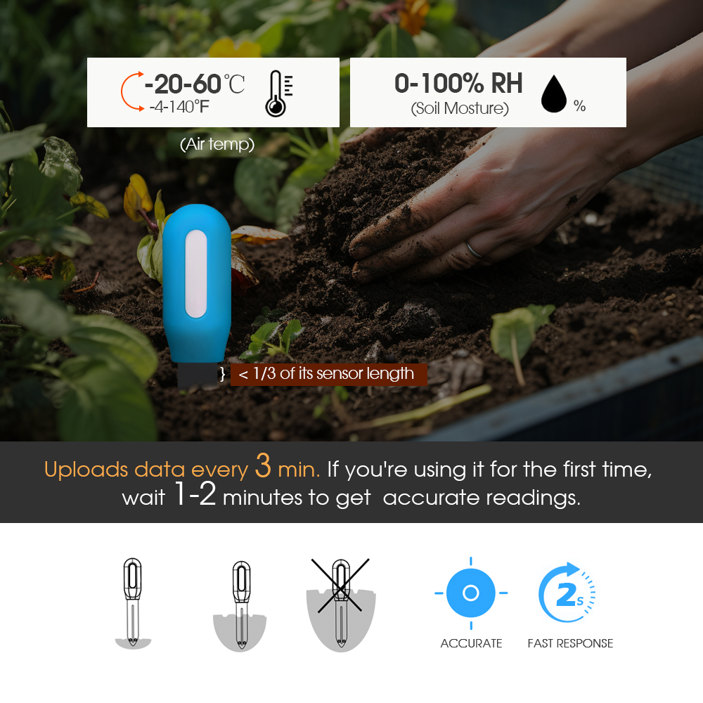 Sensore intelligente del terre - Soil Moisture Sensor recensione e prezzo