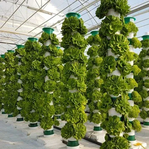 Serre agricole sistema aeropon - Hydroponic Farming Agriculture recensione e prezzo
