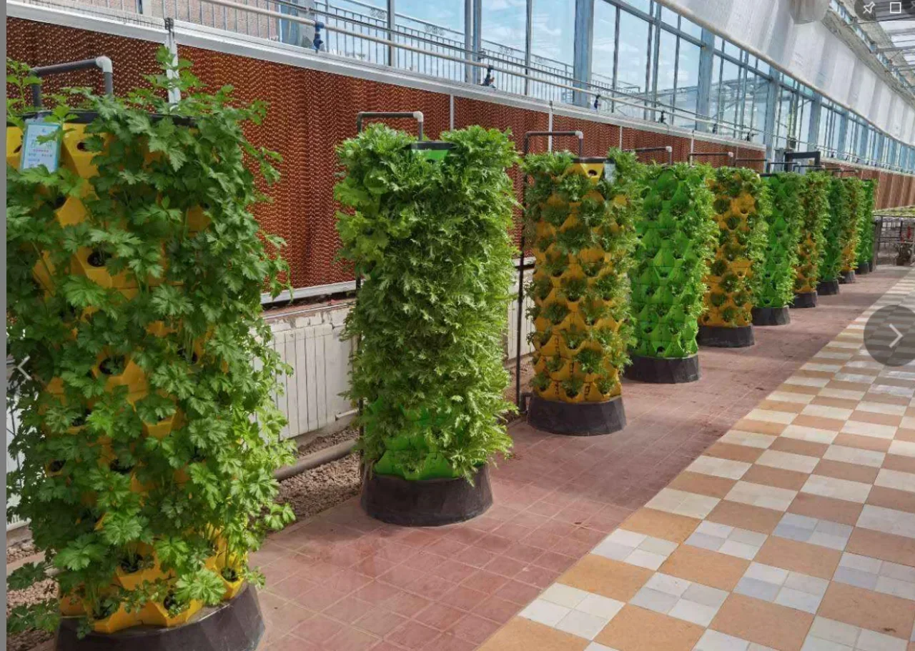 Serre agricole sistema aeropon - Hydroponic Farming Agriculture recensione e prezzo