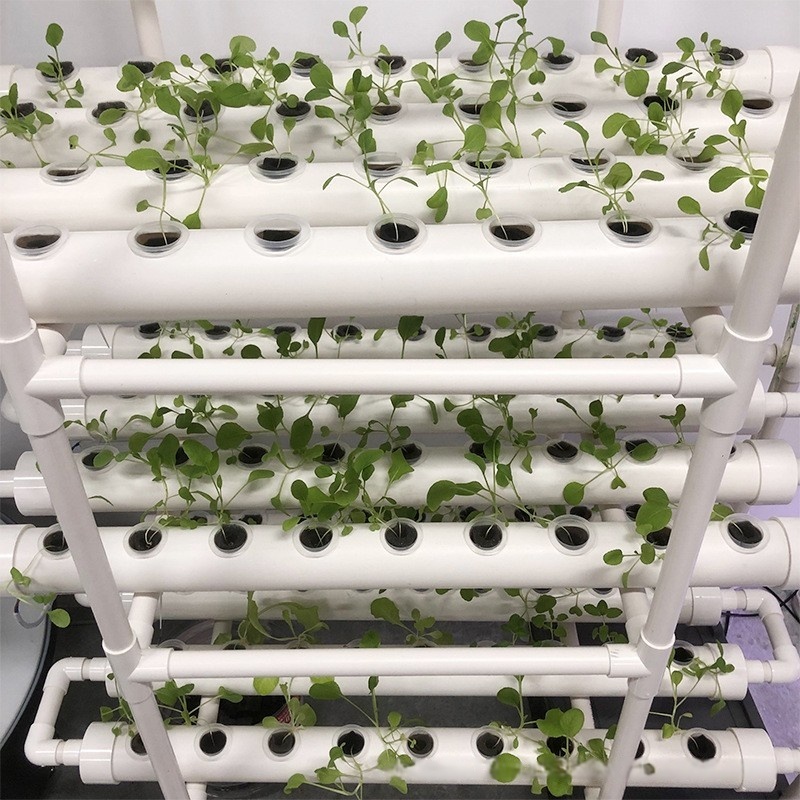Sistema di Coltivazione Idropo - Hydroponic Farming Agriculture recensione e prezzo