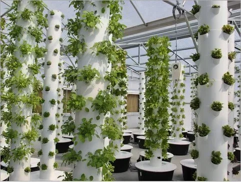 Torre di coltivazione aeroponi - Hydroponic Farming Agriculture recensione e prezzo