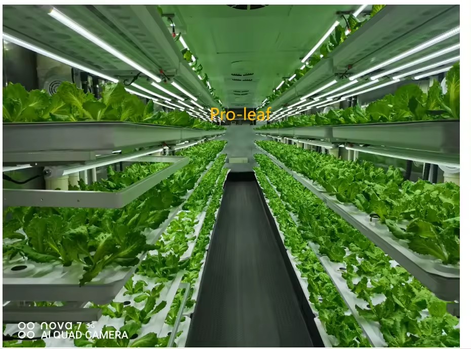 f Attrezzature agricole per se - Hydroponic Farming Agriculture recensione e prezzo