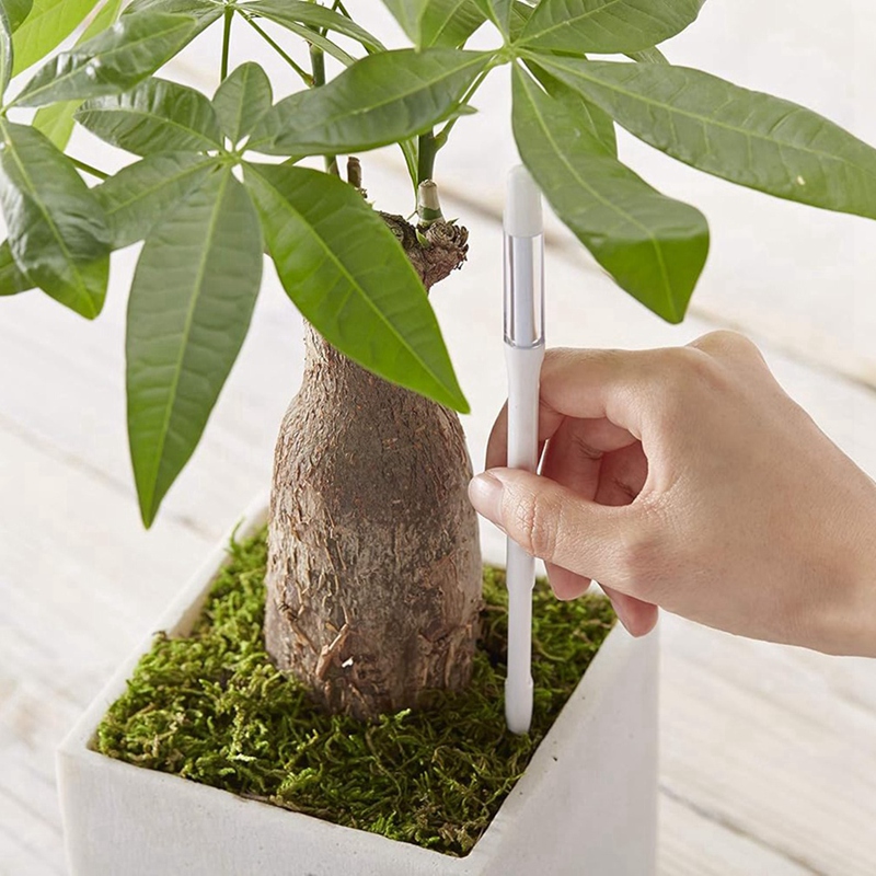 Aquameter, 5 pezzi, sensore di - Soil Moisture Sensor recensione e prezzo