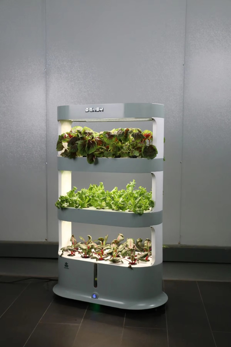 Attrezzatura Agricola Idroponi - Hydroponic Farming Agriculture recensione e prezzo