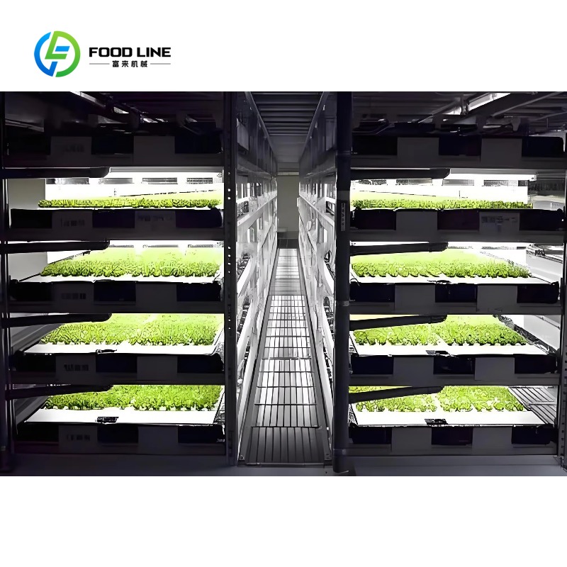 Sistema Idroponico Verticale N - Hydroponic Farming Agriculture recensione e prezzo