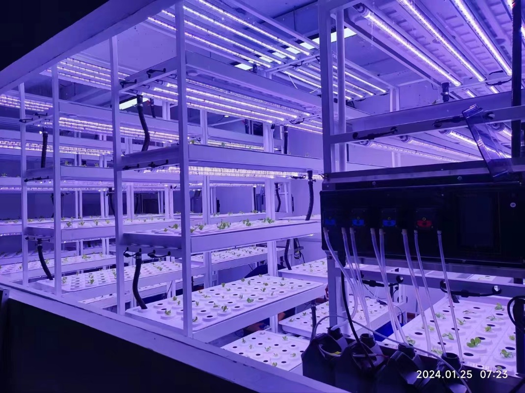 Piccolo sistema a torre idropo - Hydroponic Farming Agriculture recensione e prezzo