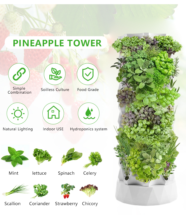 Sistemi di Coltivazione Aeropo - Hydroponic Farming Agriculture recensione e prezzo