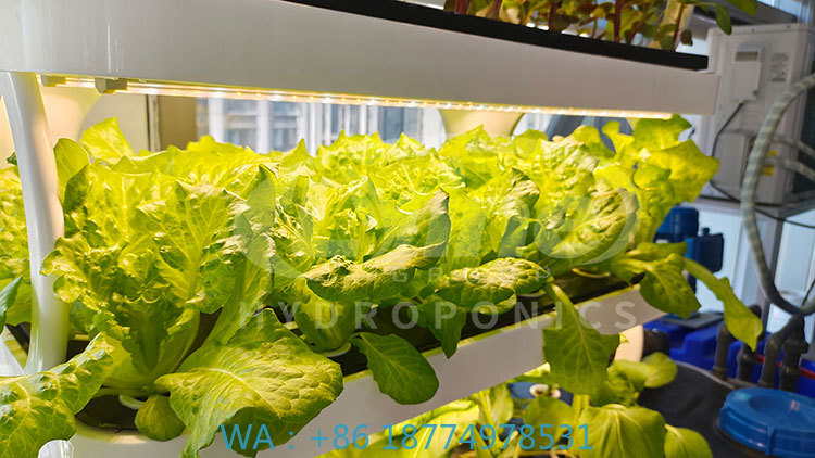c Macchina agricola per coltiv - Farming Agriculture Equipment recensione e prezzo