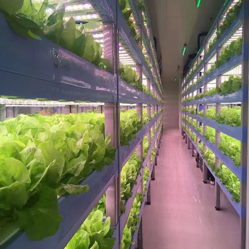 Sistema di Coltivazione Idropo - Hydroponic Farming Agriculture recensione e prezzo