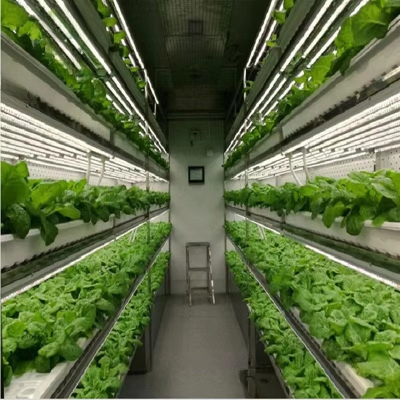 Sistema di Coltivazione Idropo - Hydroponic Farming Agriculture recensione e prezzo