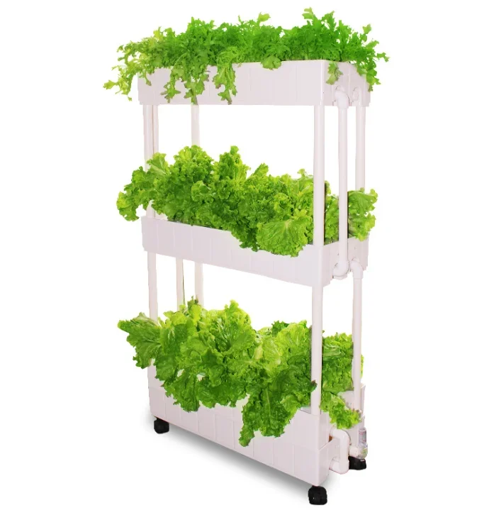 Sistema di coltivazione idropo - Hydroponic Farming Agriculture recensione e prezzo