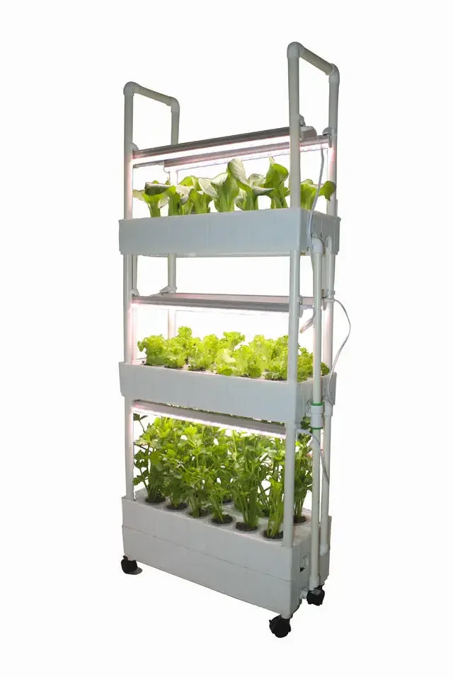 Sistema di coltivazione idropo - Hydroponic Farming Agriculture recensione e prezzo