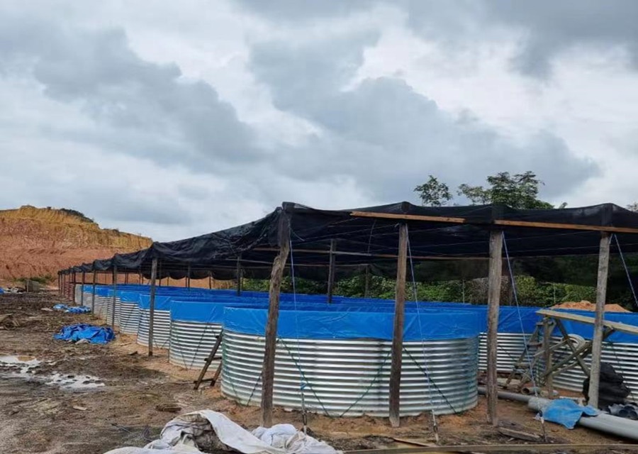 Telo in PVC impermeabile AIROW - Farm Pond Liner recensione e prezzo