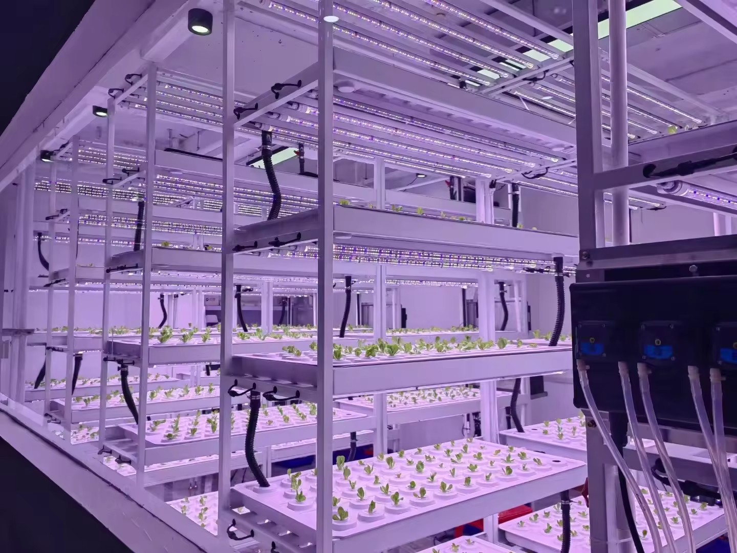 Sistema di Coltivazione Vertic - Hydroponic Farming Agriculture recensione e prezzo
