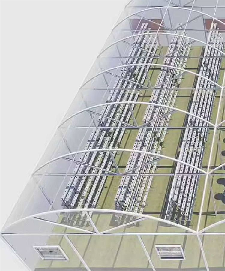 Serre agricole Lettuce Nft Sis - Hydroponic Farming Agriculture recensione e prezzo